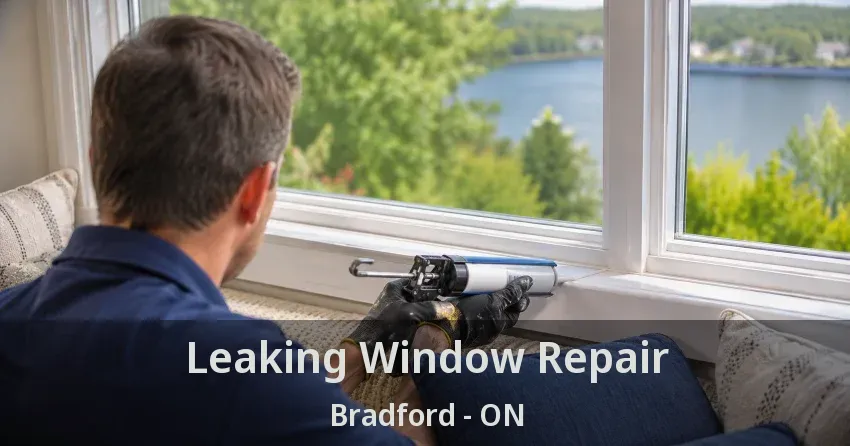 Leaking Window Repair Bradford - ON