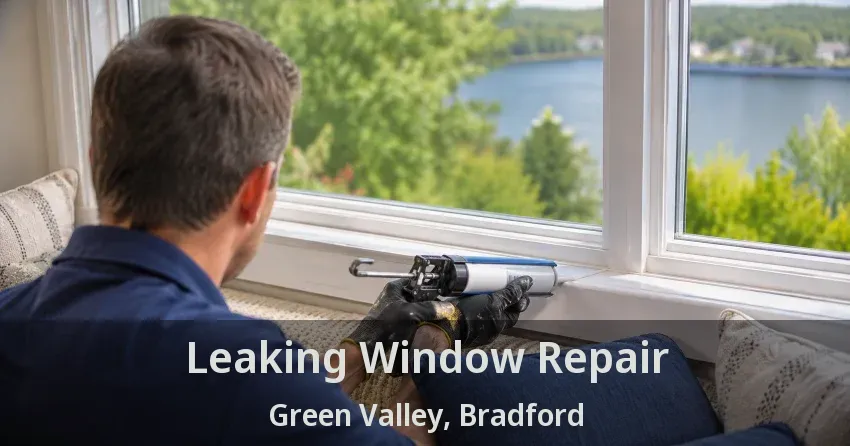 Leaking Window Repair Green Valley, Bradford - ON